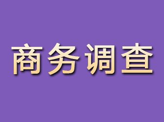 日土商务调查